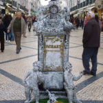 P1070869-w740_h555
